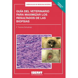 Guía del veterinario para maximizar los resultados de las biopsias