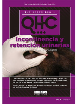 Qué Hacer Con... Incontinencia y Retención Urinarias
