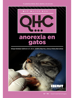 Qué Hacer Con... Anorexia en gatos