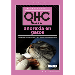 Qué Hacer Con... Anorexia en gatos