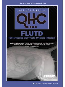 Qué Hacer Con... FLUTD