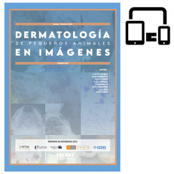 Monografía Octubre - Diciembre 2021 (Versión Digital)