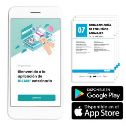 Suscripción Revista Dermatología (Digital) - Mensual