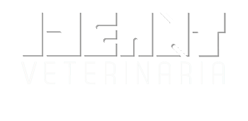 Web de Veterinaria