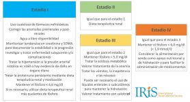 01_SISTEMA IRIS COMO GUÍA TERAPÉUTICA