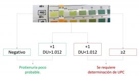 08_proteinuria_screening