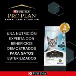 1-Esterilizado-1