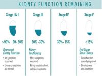 1. 1 CREA estadios IRIS y funcionalidad renal remanente