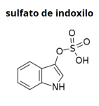 (10)sulfato de indoxilo