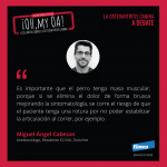 14-Post Debate Oh My Oa Elanco