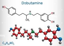 17. dobutamina
