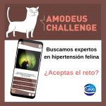 18-05-2021-Post Amodeus Challenge Ceva