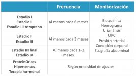 18_MONITORIZACION_SEGUIMIENTO