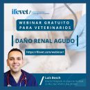 20210323-Post Webinar Gratuito Ifevet