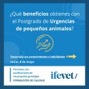 20210408-Post Beneficios Ifevet-1-Insta