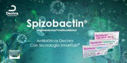20220304104523DECHRAspizobactin