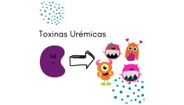 Toxinas Urémicas - 1