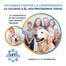 3_LETI_RRSS_1080x1080px_200121