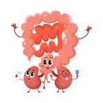 (6)Gut-kidney-axis-1-1024x1024-1