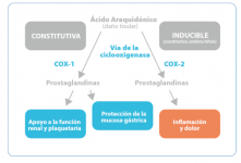AINEs