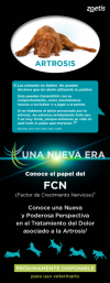 Captura de pantalla 2020-12-23 a las 12.49.45