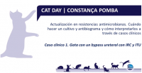 Captura de pantalla 2021-05-13 a las 19.14.43