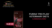 Captura de pantalla 2021-05-14 a las 14.04.33