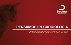 Captura de pantalla 2022-01-12 a las 16.32.06