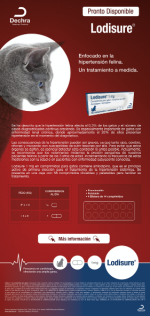 Captura de pantalla 2022-03-14 a las 10.25.31