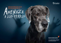 Captura de pantalla 2022-05-24 a las 11.46.21