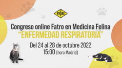Captura de pantalla 2022-09-16 a las 13.18.16
