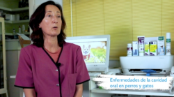 Captura de pantalla 2022-09-16 a las 13.54.24