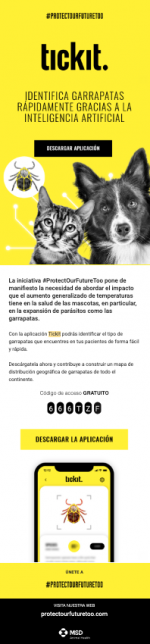 Captura de pantalla 2022-11-04 a las 11.52.18