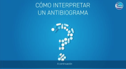 Captura de pantalla 2022-11-18 a las 10.36.30