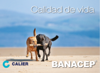 Captura de pantalla 2023-02-15 a las 17.26.42