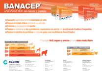 Captura de pantalla 2023-02-15 a las 17.26.49
