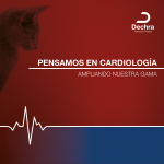 Cardiology Range Instagram - Lodisure Animación