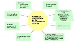 Clave 5 - Esquema. Abordaje multimodal de la artrosis