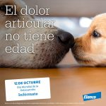Elanco Osteo Post Instagram 1080x1080 copia3