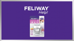 FELIWAY