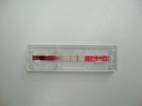 Figura 1