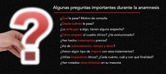 IMAGEN TEXTO 11