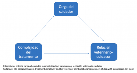 Imagen 11