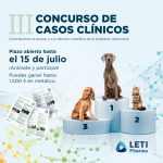 LETI_Post_Concurso