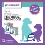 Nou Post Procanicare Ecuphar-1