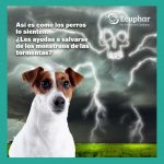 Nou Post Sileo Ecuphar-3-v2