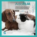Post Adofilm