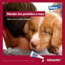 Post Advantix Bayer-1