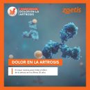 Post Dolor Artrosis Zoetis-2