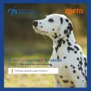 Post FotoVetDerma Zoetis